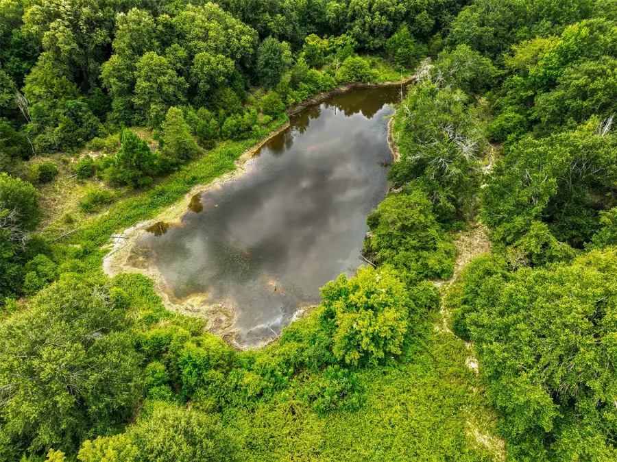 1722 Anderson County Road 432 Road, Palestine, TX 75803 - #3