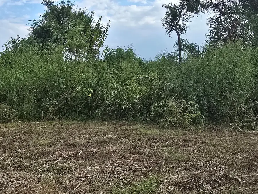 9203 W Montgomery Road, Houston, TX 77088 - Image #2