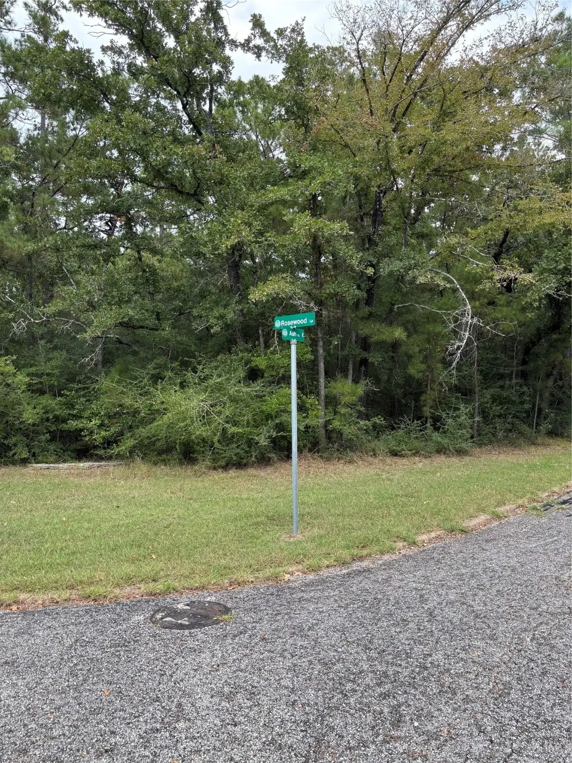 TBD Ash Ct 2, Huntsville, TX 77320 - Image #1