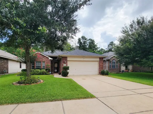 24606 Twisted Birch Court, Spring, TX 77373