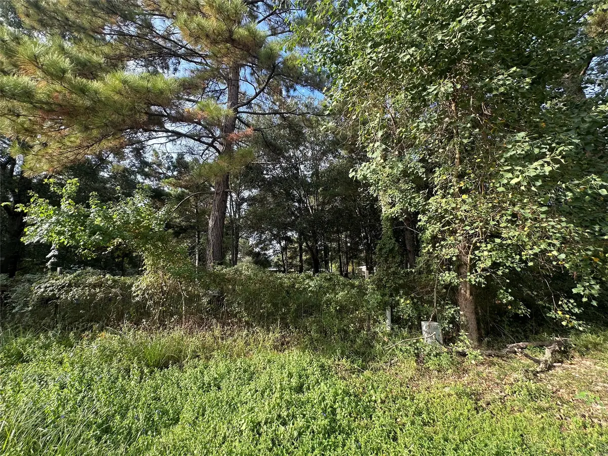 25933 Essex, New Caney, TX 77357 - Image #1