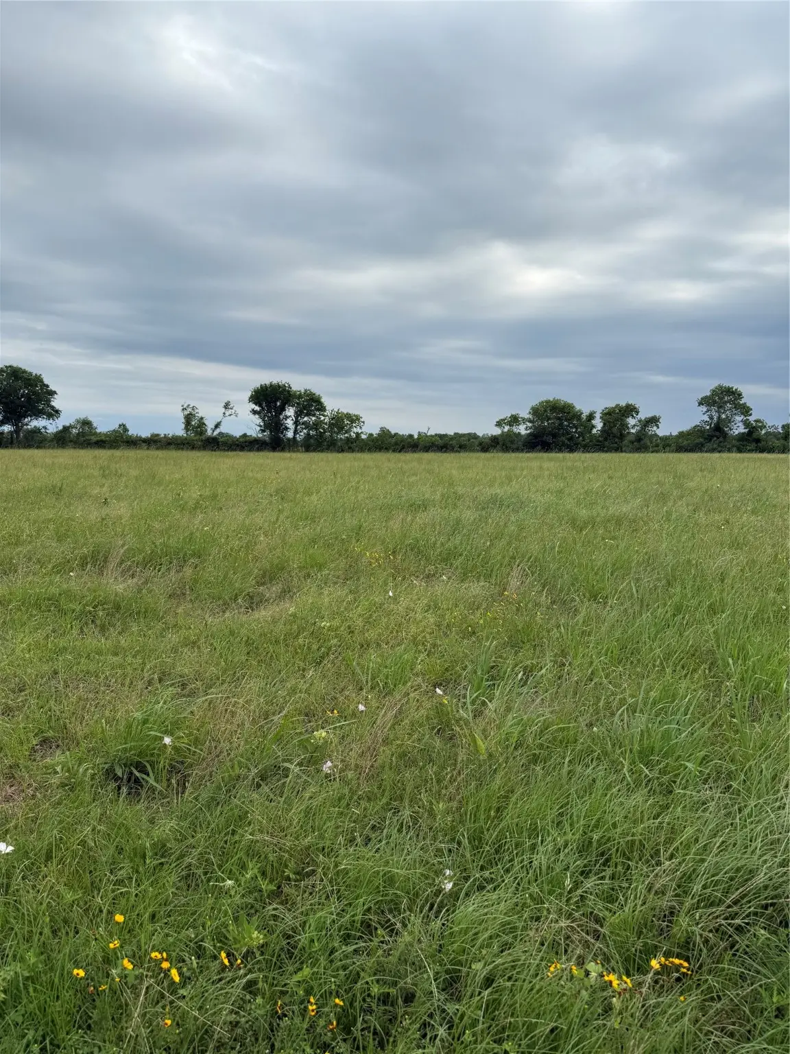 Blk 1 Lot 36 Apache Trail, Angleton, TX 77515 - Image #1