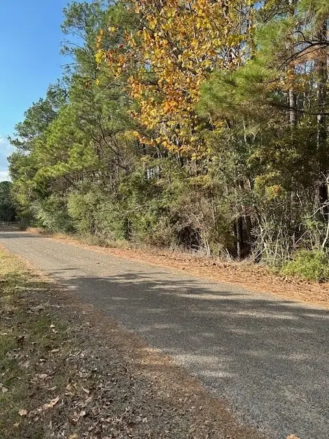 0000 Cathey Lane, Navasota, TX 77868 - #1