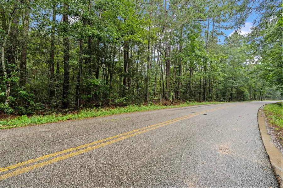 900 S Duck Creek Road, Cleveland, TX 77328 - #3