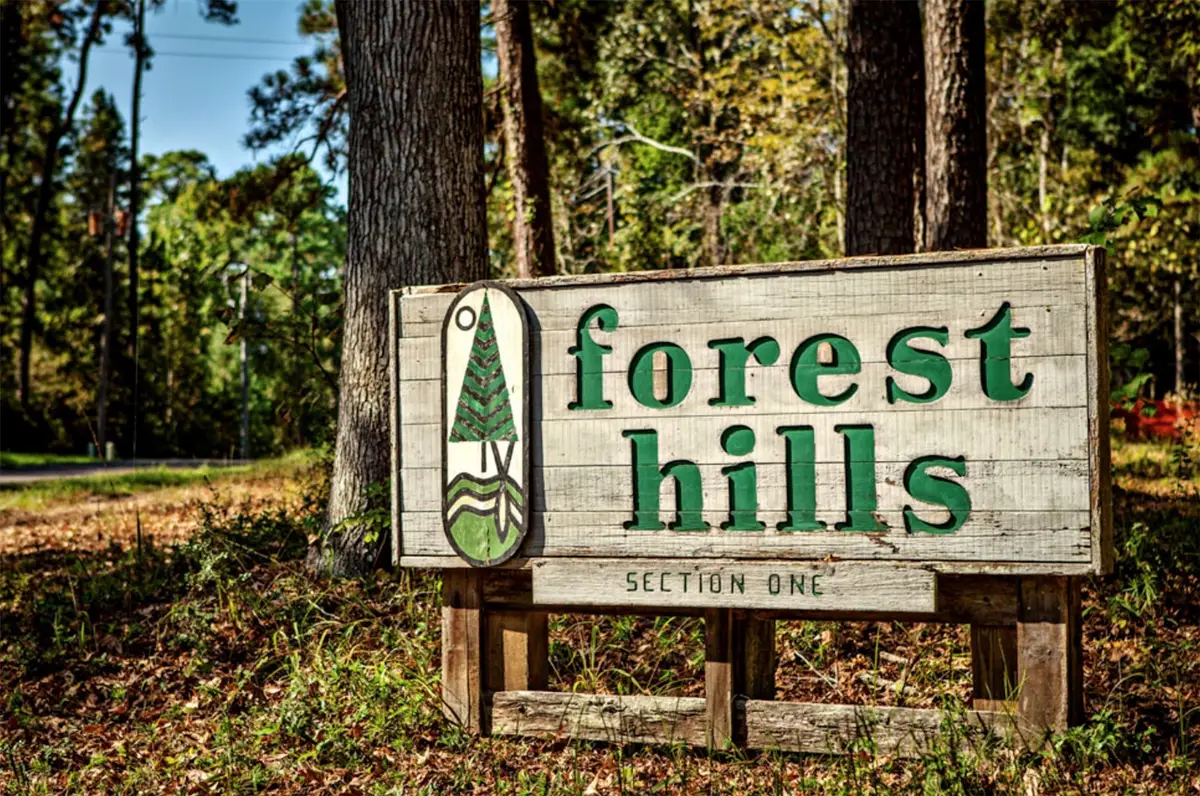 0000 Loper Lake Drive, Livingston, TX 77351 - #1