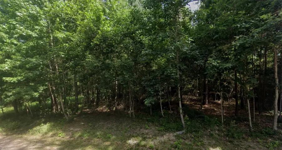 0000 Loper Lake Drive, Livingston, TX 77351 - #2