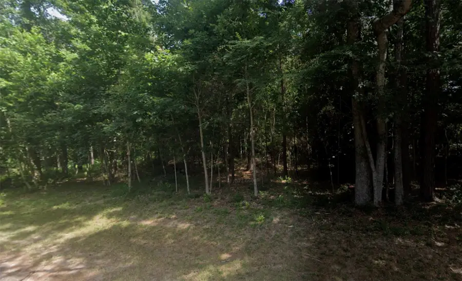 0000 Loper Lake Drive, Livingston, TX 77351 - #3