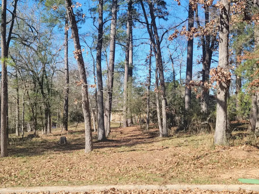 1909 Rollingwood Drive, Huntsville, TX 77340 - Image #2