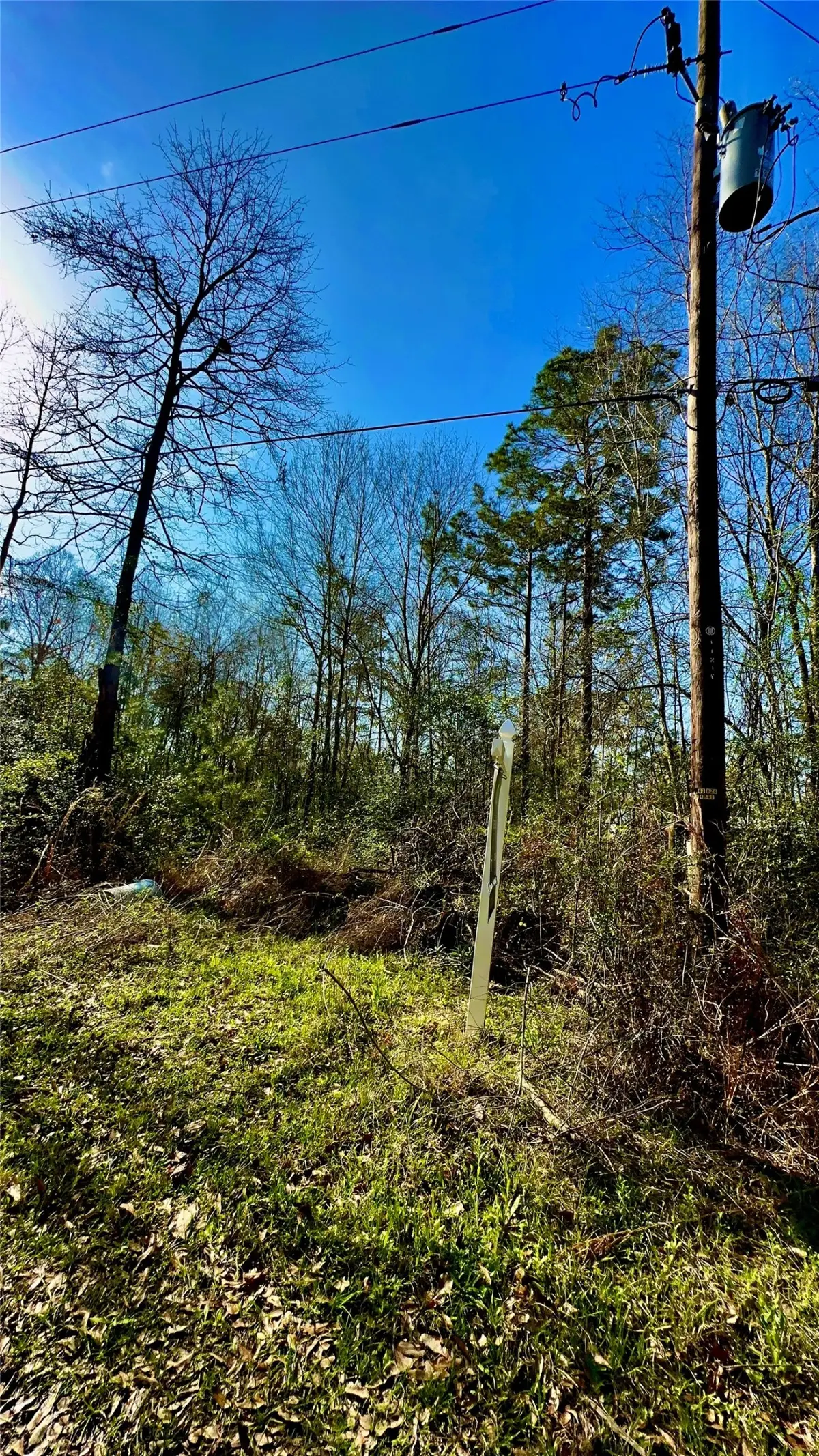 26992 Diamond C, Southeast Montgomery, TX 77372 - #1