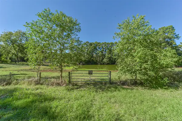 140 Little Road Loop, New Waverly, TX 77358