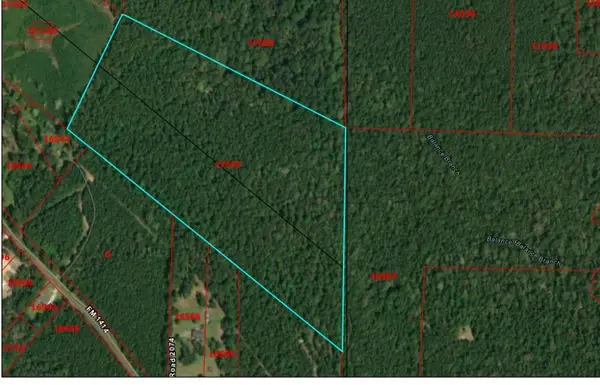 0 County Road 2073, Burkeville, TX 75932