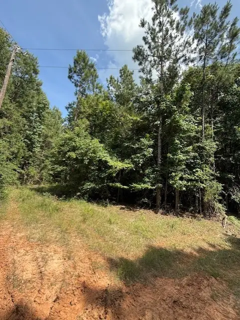 0 County Road 2073, Burkeville, TX 75932 - Image #2