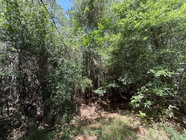 0 County Road 2073, Burkeville, TX 75932 - Image #3