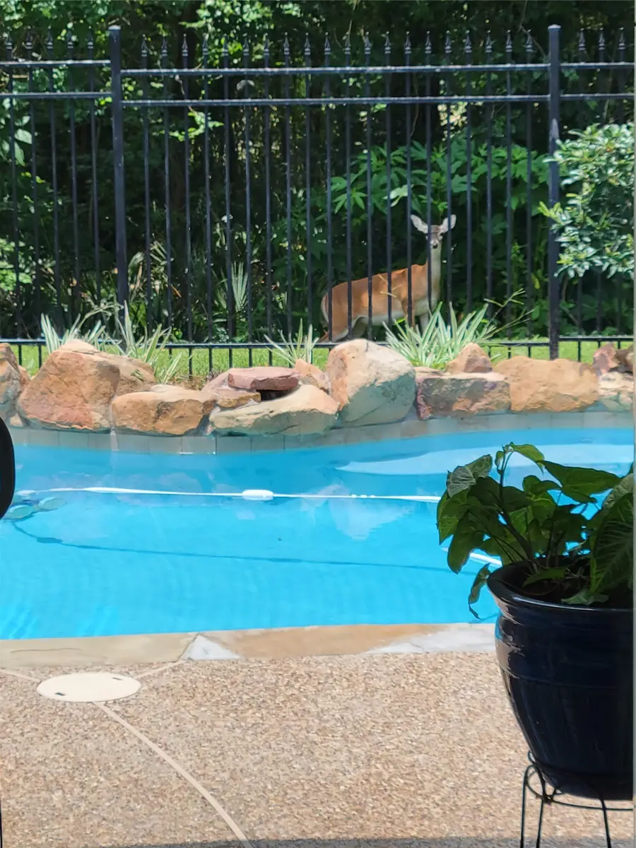 6230 Agassi Ace Court Court, Spring, TX 77379 - #2