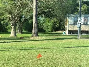 2518 W Highway 6, Alvin, TX 77511 - Image #2