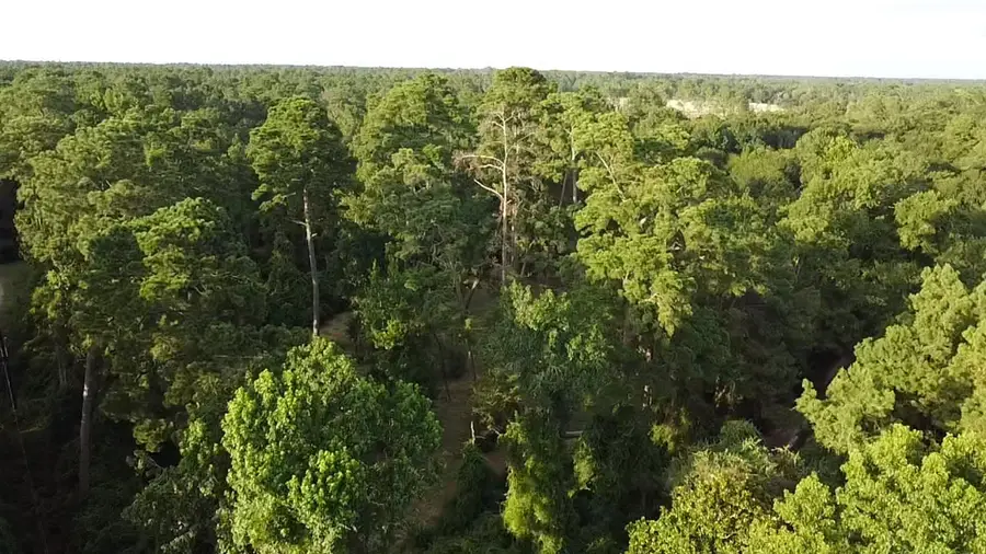 0 Prop Id 101208, Hockley, TX 77447 - Image #3