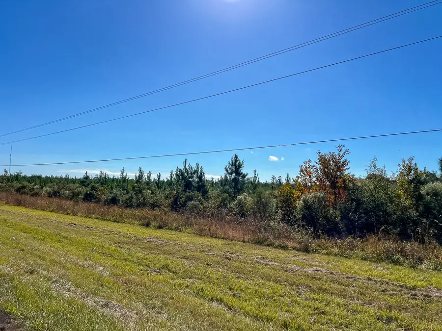 T-1 Fm 787, Votaw, TX 77376 - Image #3