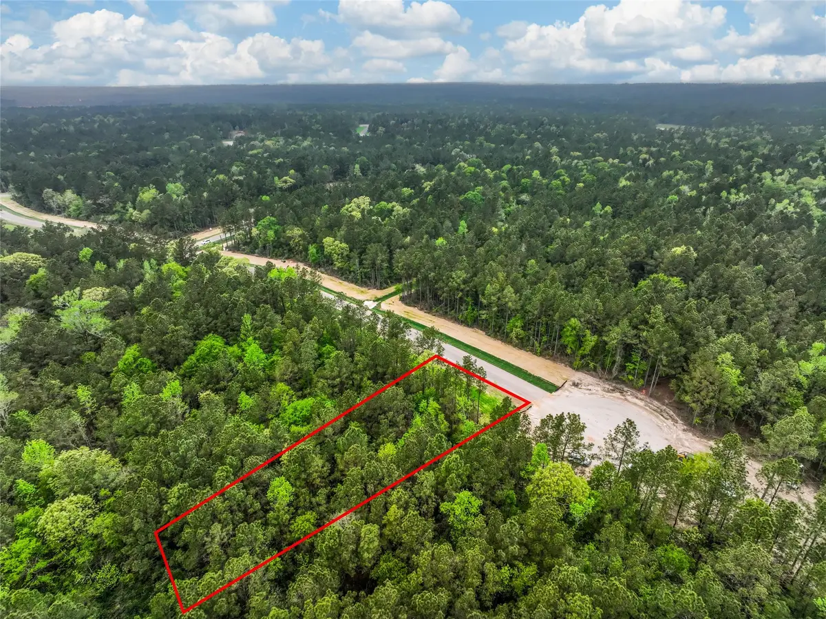 25011 Balmorhea Way, Montgomery, TX 77316 - #1