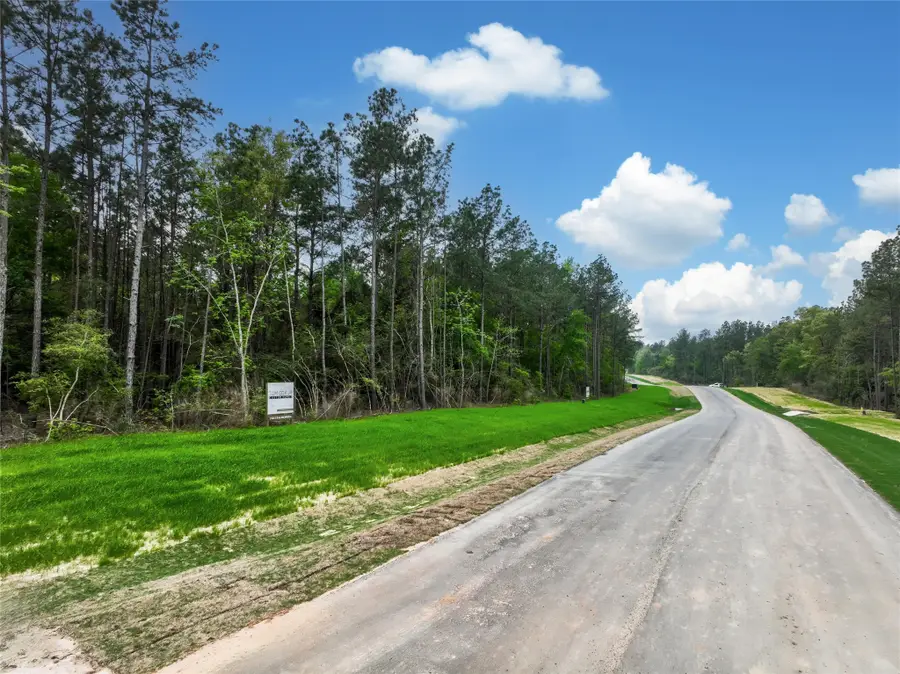 25011 Balmorhea Way, Montgomery, TX 77316 - #3