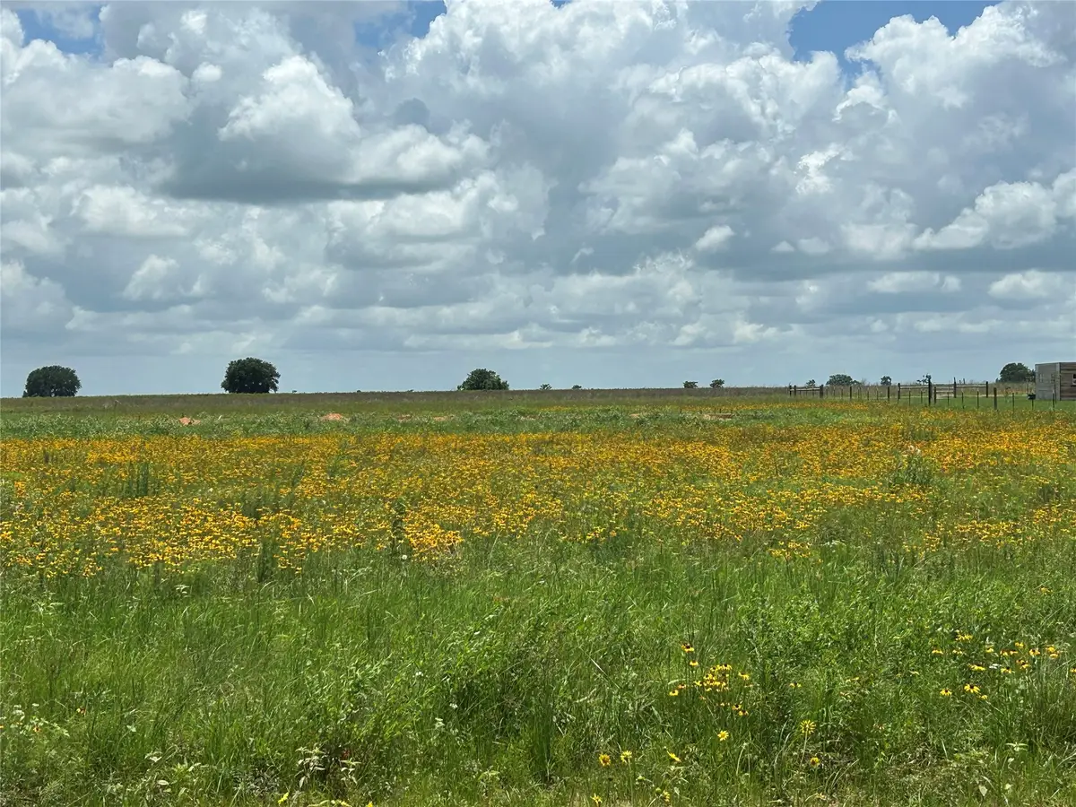 2995 Meier Road S, Sealy, TX 77474 - #1