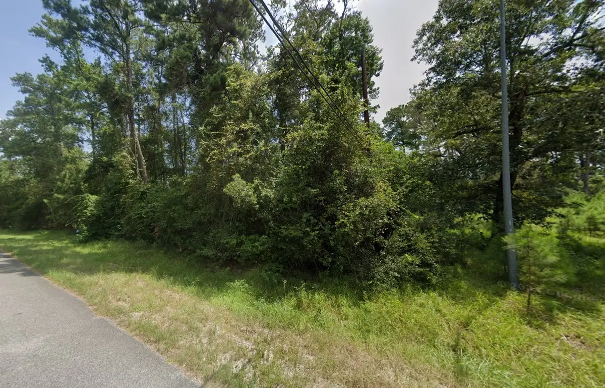 20202 Belleau Wood Drive, Humble, TX 77338 - Image #1