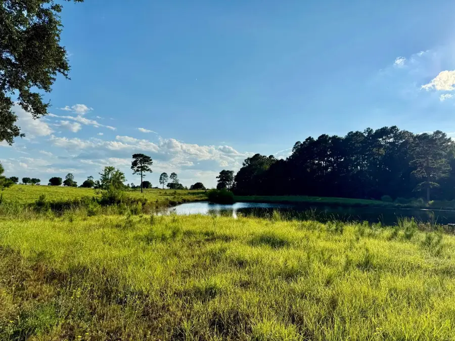 TBD Lakeland Ranch Lot 277, Hillister, TX 77624 - Image #2