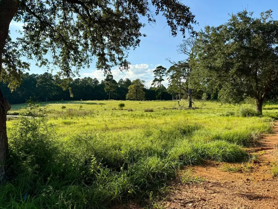 TBD Lakeland Ranch Lot 277, Hillister, TX 77624 - Image #3