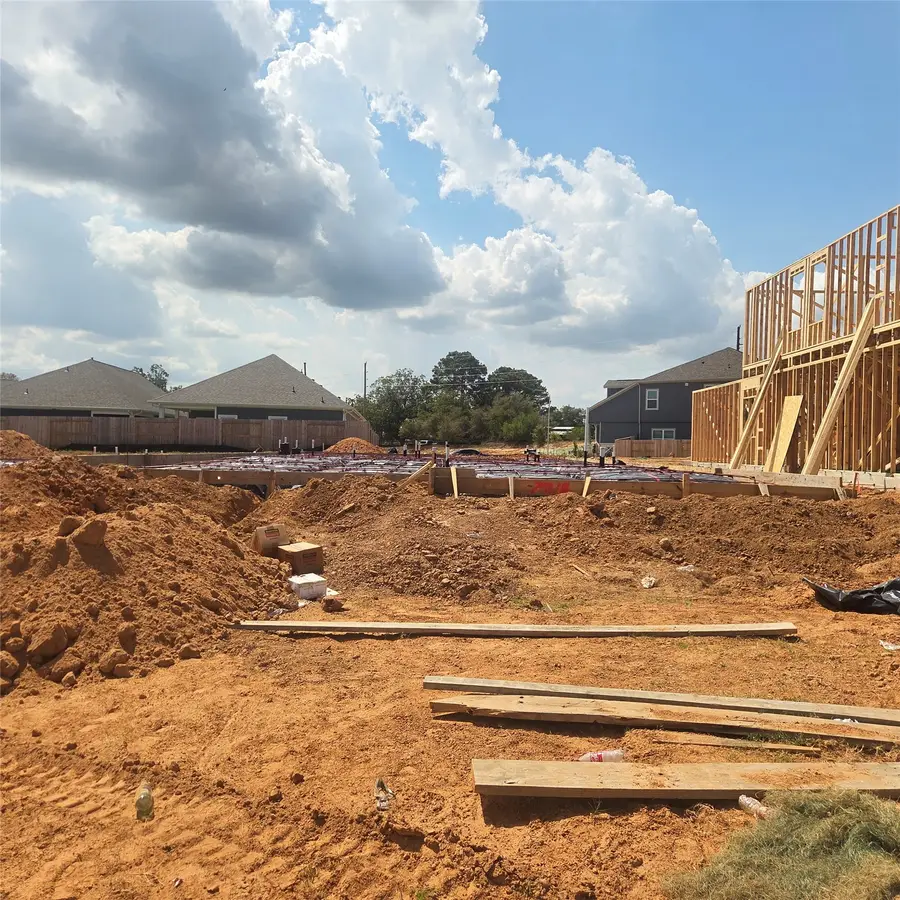 7518 Striped Maple Drive, Fulshear, TX 77441 - #2