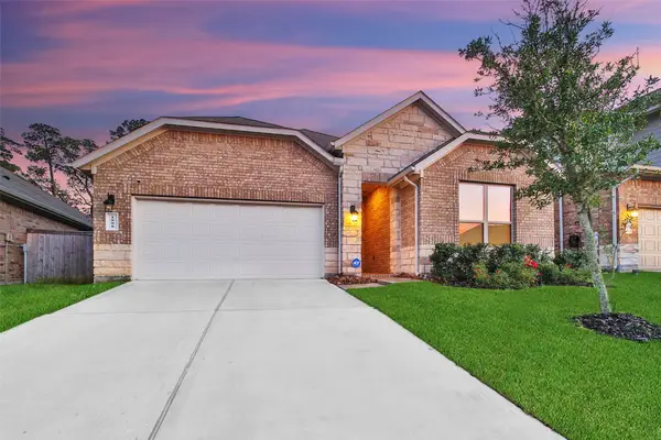 1008 Youth Water Road, Montgomery, TX 77316