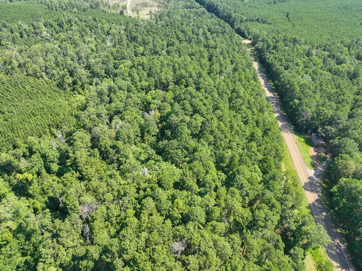 3 Highway 87, Milam, TX 75959 - #1