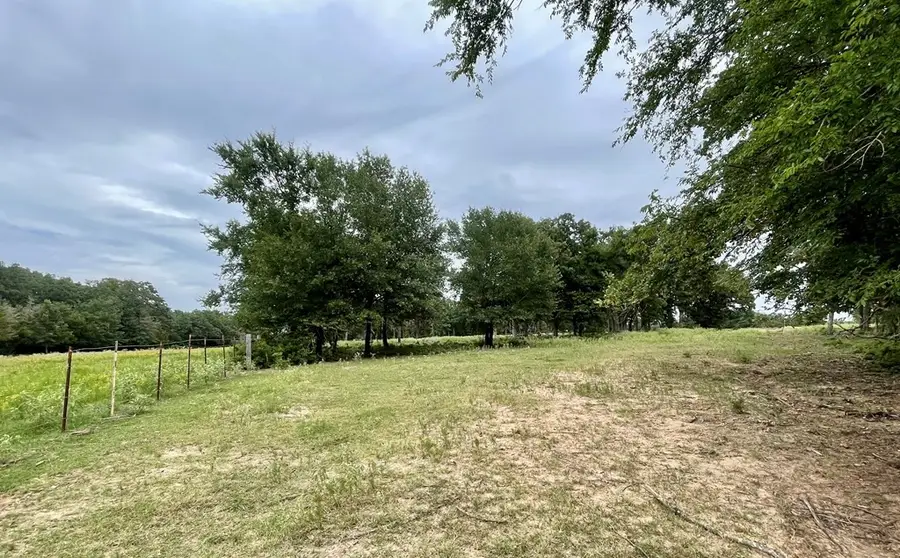 737 Lcr 862, Donie, TX 75838 - Image #2