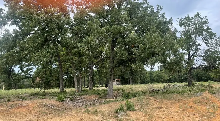 737 Lcr 862, Donie, TX 75838 - Image #3