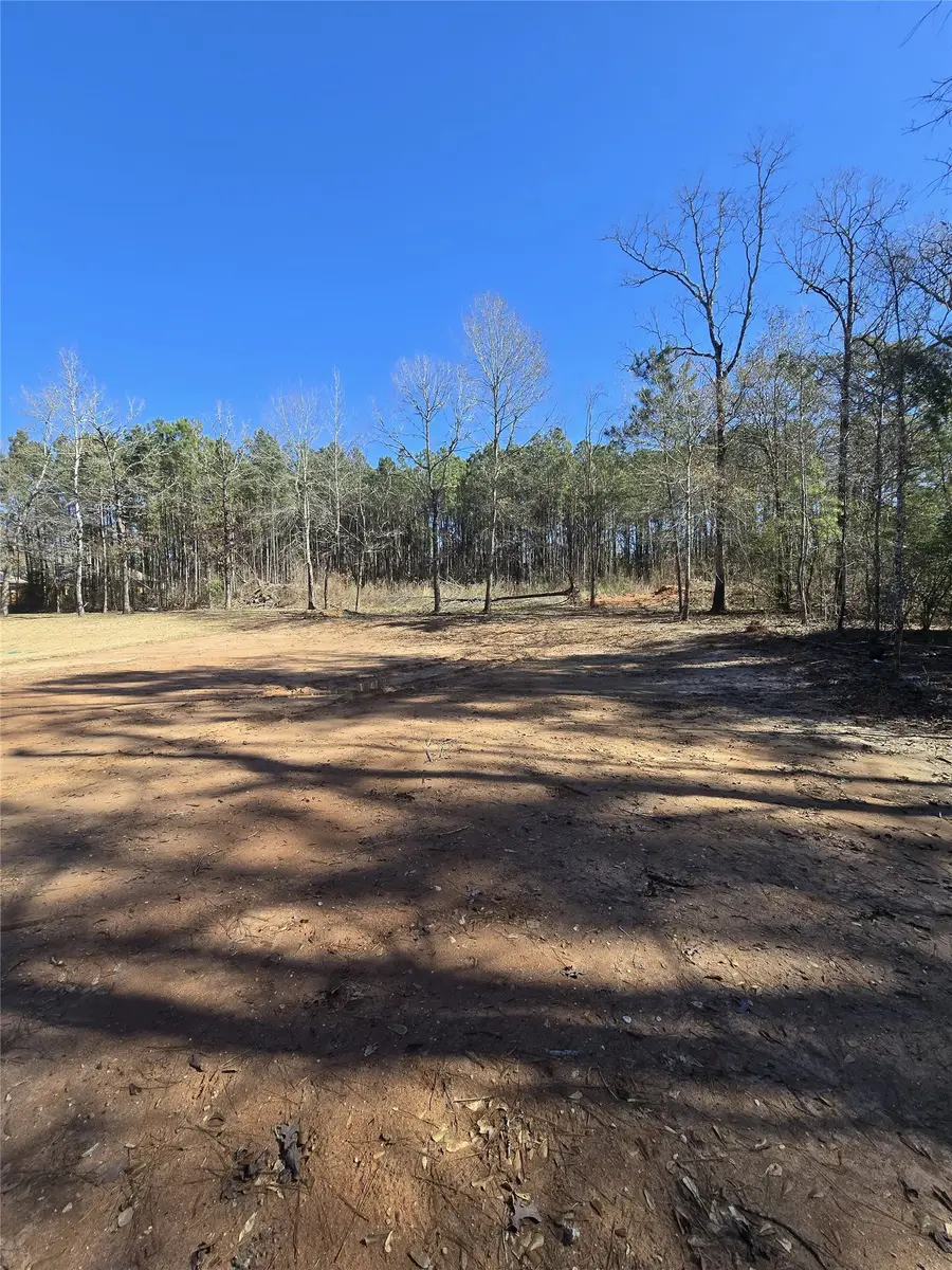 Lot 16 Arrowhead Loop E, Willis, TX 77378 - Image #2