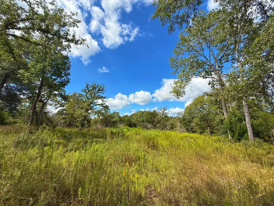 10 ac Cr 389, Marquez, TX 77865 - Image #2