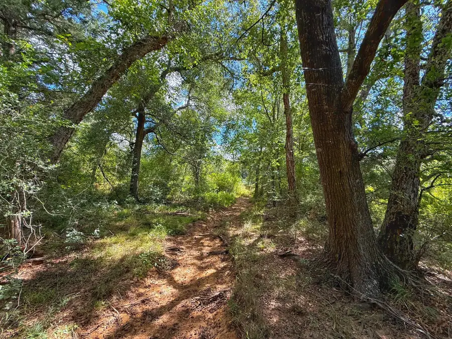 10 ac Cr 389, Marquez, TX 77865 - Image #3