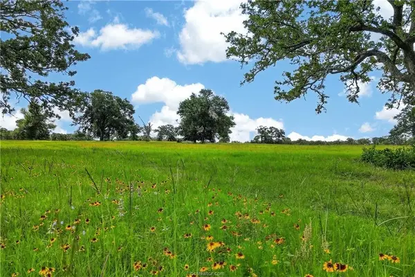 11648 Fm 2000, Caldwell, TX 77836