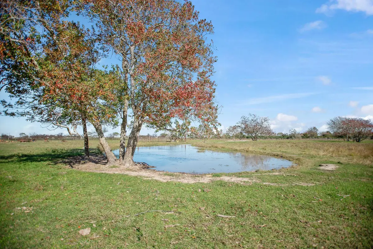 TBD County Road 429, Lolita, TX 77971 - Image #1