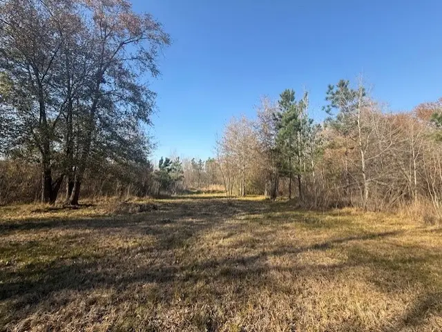 747 County Road 3556, Cleveland, TX 77327 - #3