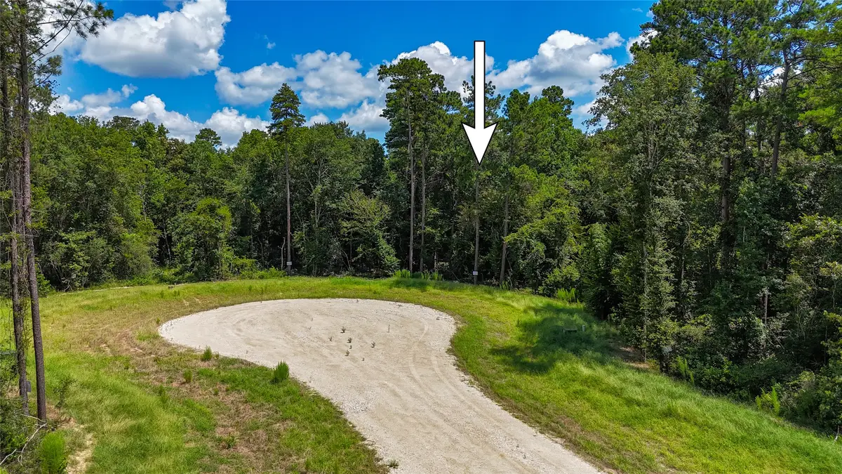 110 Romantic Dreams Ct, New Waverly, TX 77358 - #1