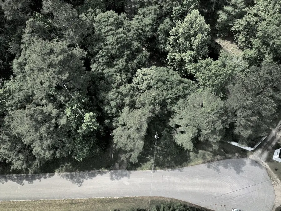 10303 Pecan Hollow Road, Magnolia, TX 77354 - #3