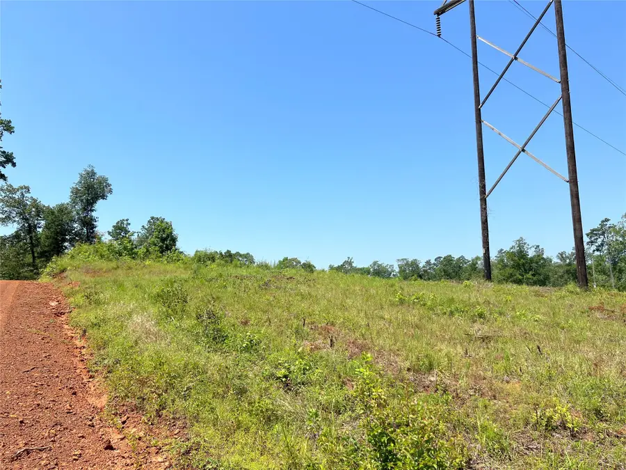 4 Carters Ferry Road, Milam, TX 75959 - Image #2