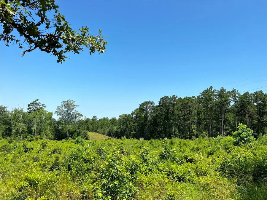 4 Carters Ferry Road, Milam, TX 75959 - Image #3