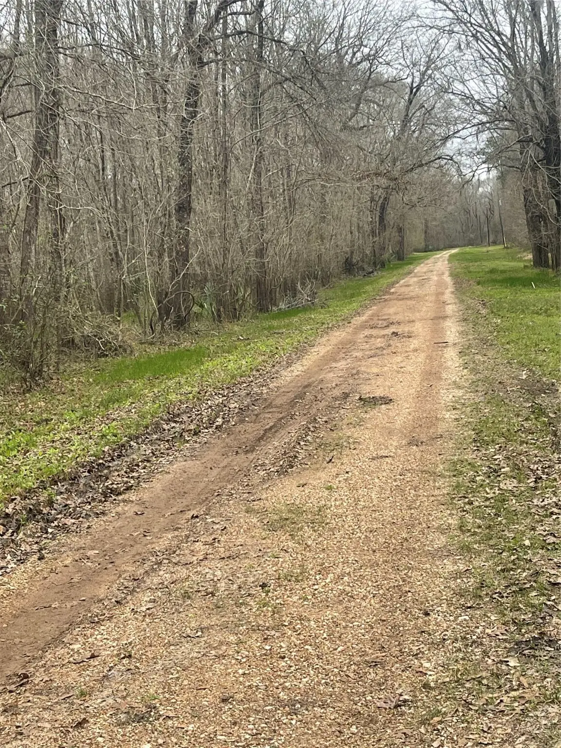 TBD County Road 2505, Liberty, TX 77575 - Image #1