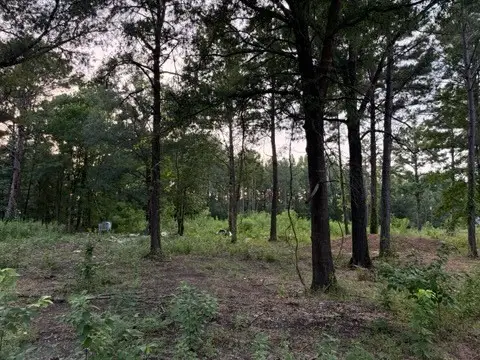 120 Pioneer Trail, Livingston, TX 77351 - #1