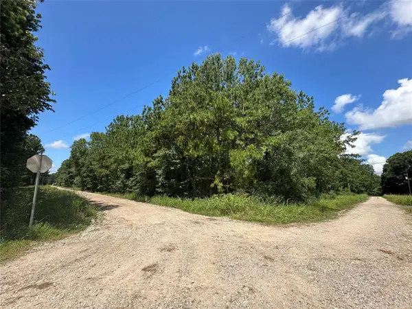 120 Pioneer Trail, Livingston, TX 77351