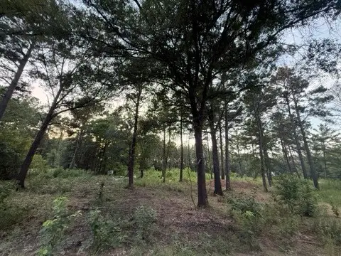 120 Pioneer Trail, Livingston, TX 77351 - #2