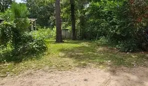 39 Dogwood Lane, Porter, TX 77365 - Image #2