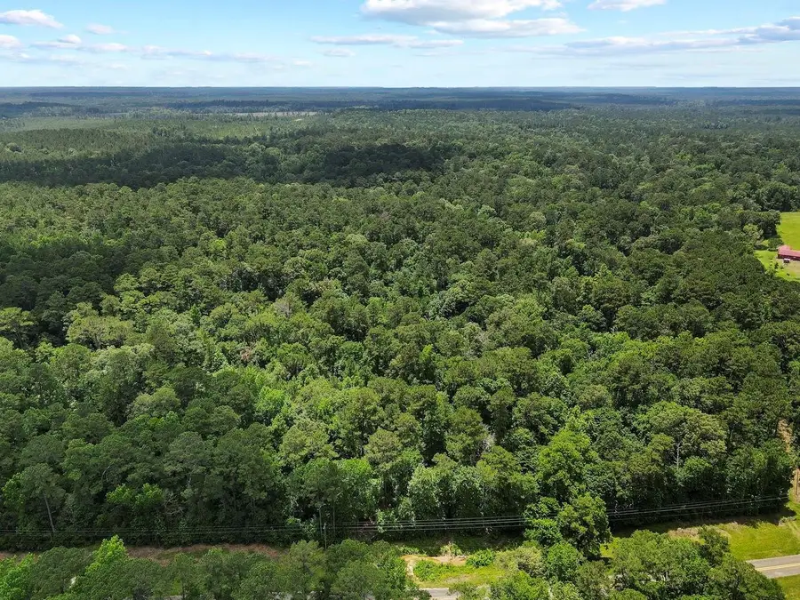 962 Fm 256, Woodville, TX 75979 - #3