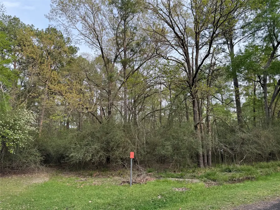 TBD27 Broadmoor Drive, Trinity, TX 75862 - Image #2