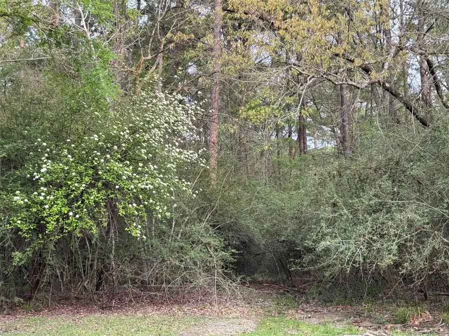 TBD27 Broadmoor Drive, Trinity, TX 75862 - Image #3